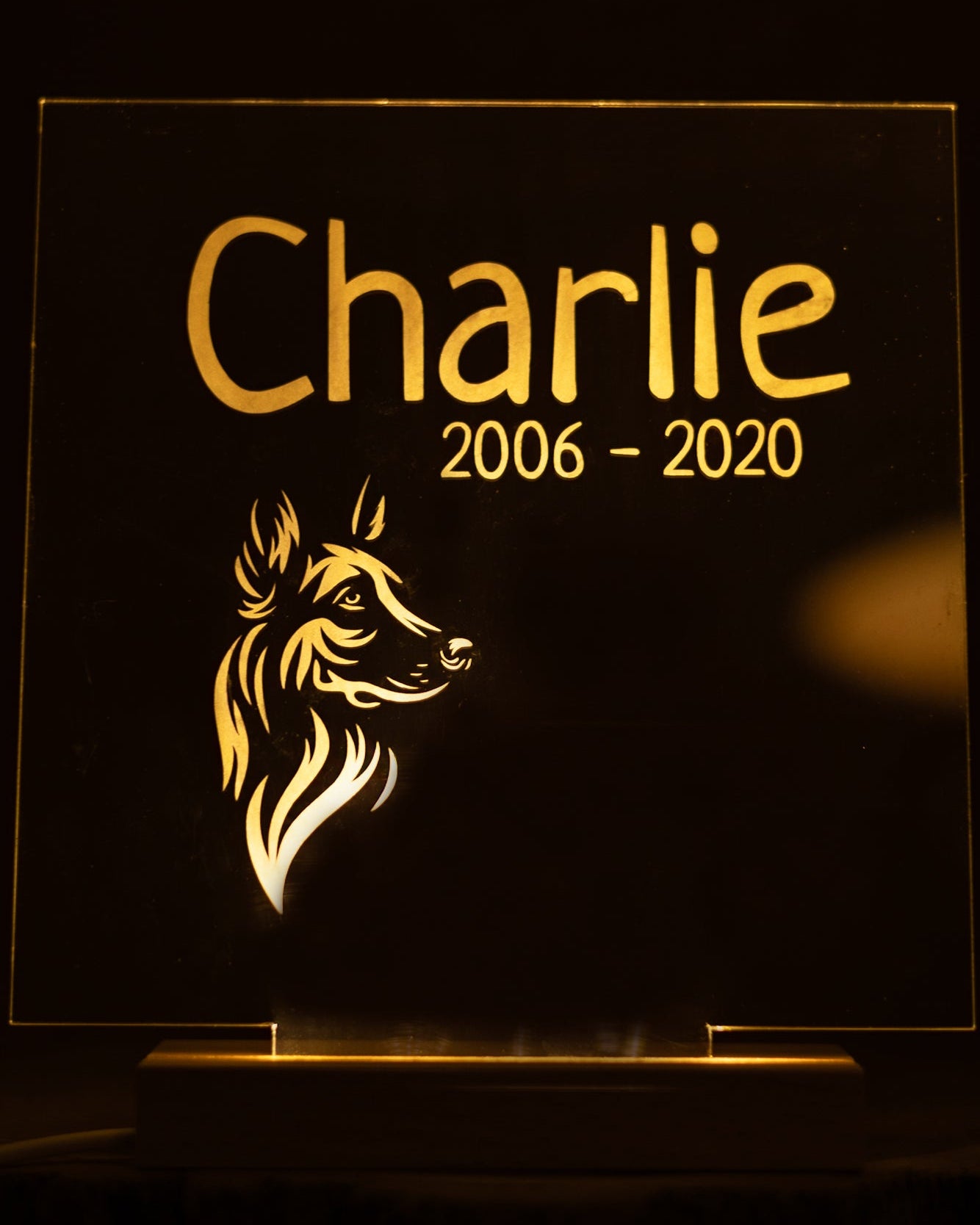 Verlicht gedenkplaatje hond