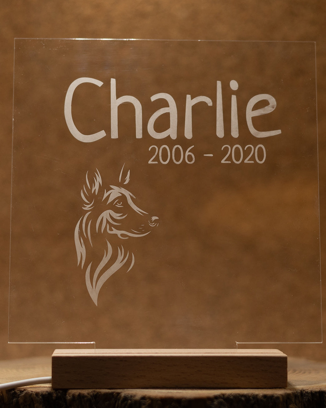 Verlicht gedenkplaatje hond